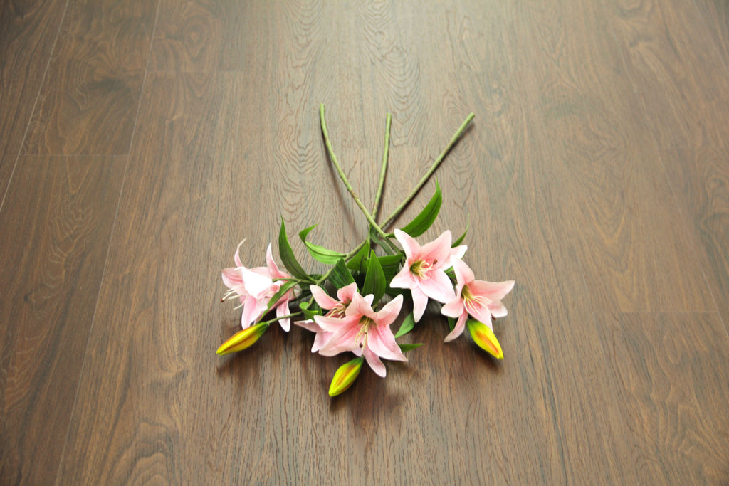 Discontinued Clearance! Walnut Black SPC Vinyl Click Planks Flooring  1220x180x4.0mm BVP2401