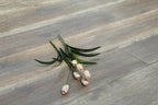 Oak Double Smoked Brushed White Oiled Engineered Wood Flooring 1900x240x20/6mm BEO2030