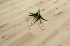 Oak Brushed White Washed UV Oiled Engineered Wood Flooring BEO1500C