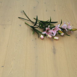 Brushed Light Natural Oak 5G Click Engineered Flooring BEO1421C