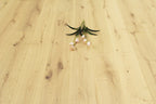 Oak Brushed Invisible Oiled Engineered Flooring BEO1503C