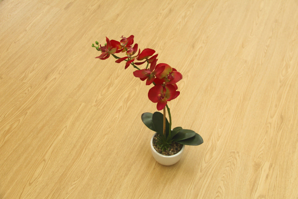 Oak Natural SPC Vinyl Planks Click Flooring 1220x180x5.0mm BVP2405