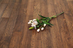 Dark Mahogany Stained Solid Oak Wood Flooring BMO1808
